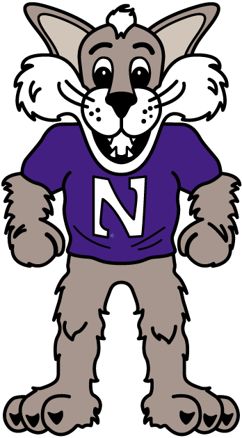 Northwestern Wildcats 1998-Pres Mascot Logo diy iron on heat transfer